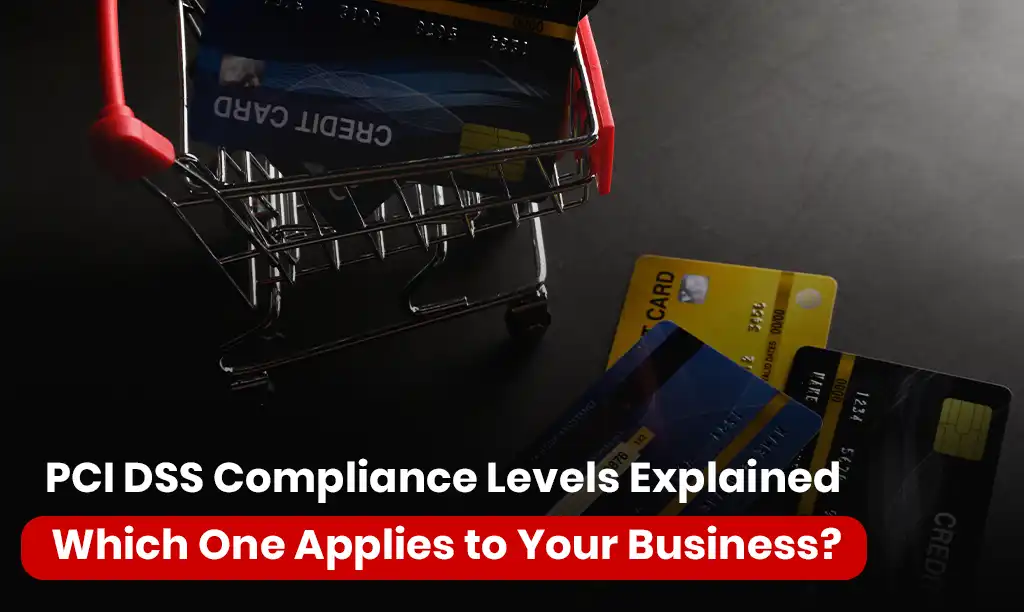 PCI DSS Compliance Levels Explained